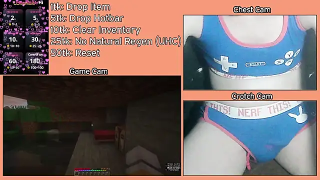 Snapshot of FoxieHikari chatting on March 2025 02:05:01 AM FoxieHikari online show from March 2025 02:05:01 AM