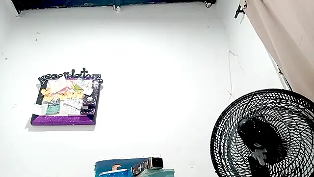 PetiteIvoryQueen19 online show from November 2025 04:00:02 AM