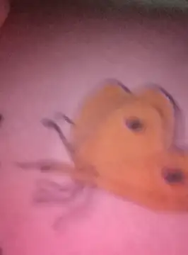 Snapshot of Nadia-2 chatting on January 2025 12:20:01 AM Nadia-2 online show from January 2025 12:20:01 AM