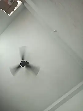 pintuS40 online show from November 2025 03:07:01 AM