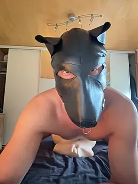 PlayDog123 online show from October 2025 02:29:01 PM