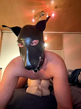 PlayDog123 online show from November 2025 04:42:02 PM