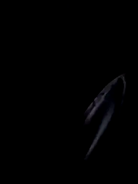 Inkognito0495 online show from October 2025 05:31:02 AM