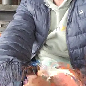 Snapshot of Lumpi1988A chatting on February 2026 11:39:01 AM Lumpi1988A online show from February 2026 11:39:01 AM