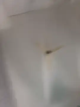 Snapshot of playboy_30 chatting on November 2025 09:04:01 AM playboy 30 online show from November 2025 09:04:01 AM