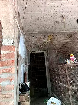 NICK IN online show from February 2025 07:33:02 AM