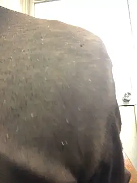 agaupt2 online show from December 2025 10:48:01 PM