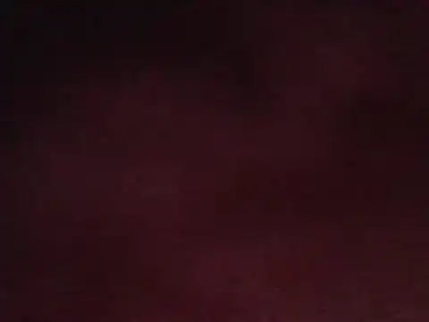 Snapshot of Buffshagswell chatting on February 2025 06:48:02 PM Buffshagswell online show from February 2025 06:48:02 PM
