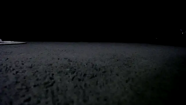 Niquitasparkles online show from January 2025 10:00:02 AM