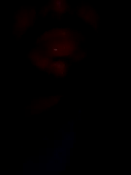 mohitsexy12 online show from December 2024 05:33:01 PM