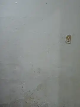 Branquinho Goxtoso online show from January 2025 02:38:02 AM