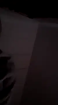 Snapshot of MIGHTY_MAGNUM chatting on December 2024 08:33:02 AM MIGHTY MAGNUM online show from December 2024 08:33:02 AM