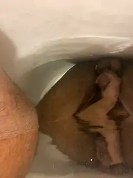 Snapshot of SensualG300 chatting on January 2026 03:00:02 AM SensualG300 online show from January 2026 03:00:02 AM