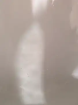 Snapshot of SensualG300 chatting on February 2026 10:38:02 PM SensualG300 online show from February 2026 10:38:02 PM