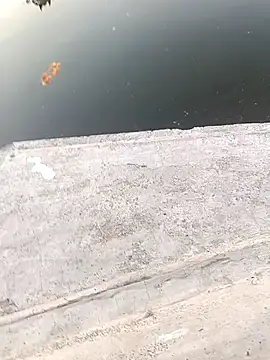 1010SumiT online show from March 2025 01:08:02 PM