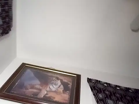 Snapshot of gemini12838 chatting on January 2025 02:39:02 AM gemini12838 online show from January 2025 02:39:02 AM