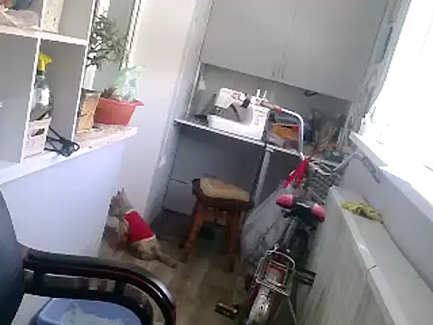 TanyaSweet634 online show from February 2025 10:40:02 AM