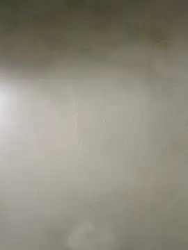  violetta - online show from September 2025 12:16:01 AM