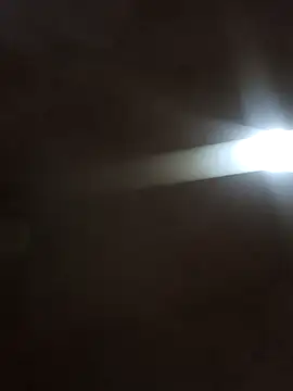  violetta - online show from October 2025 12:26:02 PM