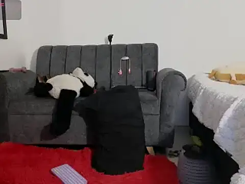 Snapshot of Katt_BDSM chatting on February 2025 03:14:01 PM Katt BDSM online show from February 2025 03:14:01 PM