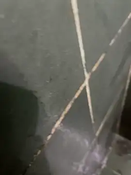 gzn01 online show from October 2025 04:49:01 AM