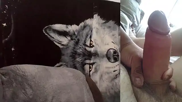 Snapshot of Hornychitown24 chatting on February 2026 08:36:02 PM Hornychitown24 online show from February 2026 08:36:02 PM