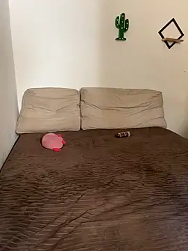 Snapshot of pepsicolacouple chatting on November 2025 05:56:02 PM pepsicolacouple online show from November 2025 05:56:02 PM