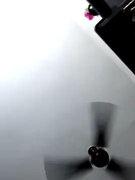 Tamilrojanew online show from March 2026 09:48:01 AM