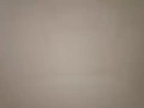 Tony Park online show from February 2025 05:46:02 PM