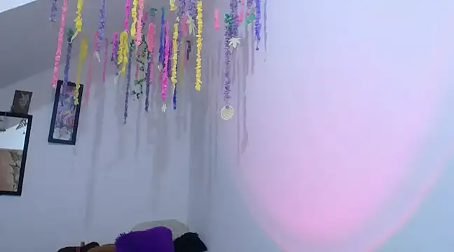 Snapshot of diamonmeli chatting on January 2025 09:36:01 PM diamonmeli online show from January 2025 09:36:01 PM