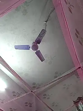 Shakeel Ali789 online show from February 2026 06:17:01 PM