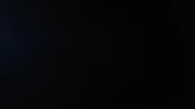 AvaCollinss online show from December 2024 12:35:01 PM