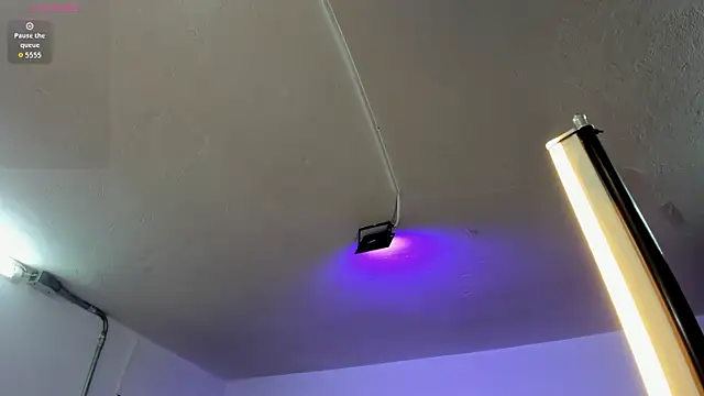 Amy Kiitty  online show from February 2026 12:44:02 PM