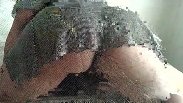Snapshot of Bobscat11 chatting on May 2026 06:30:02 AM Bobscat11 online show from May 2026 06:30:02 AM
