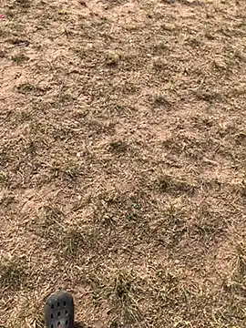 Snapshot of Black_mamba_madingo chatting on December 2024 03:01:02 PM Black mamba madingo online show from December 2024 03:01:02 PM