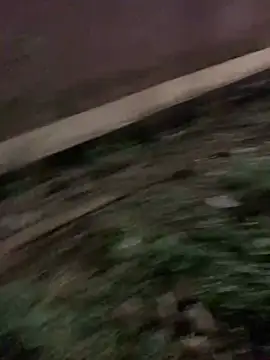 Snapshot of Black_mamba_madingo chatting on January 2025 06:33:02 PM Black mamba madingo online show from January 2025 06:33:02 PM