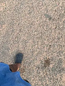 Snapshot of Black_mamba_madingo chatting on January 2025 08:11:02 AM Black mamba madingo online show from January 2025 08:11:02 AM