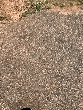 Snapshot of Black_mamba_madingo chatting on February 2025 12:11:02 PM Black mamba madingo online show from February 2025 12:11:02 PM