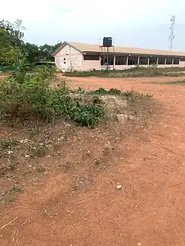 Snapshot of Black_mamba_madingo chatting on February 2025 03:25:02 PM Black mamba madingo online show from February 2025 03:25:02 PM