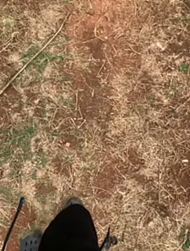 Snapshot of Black_mamba_madingo chatting on February 2025 01:10:01 PM Black mamba madingo online show from February 2025 01:10:01 PM