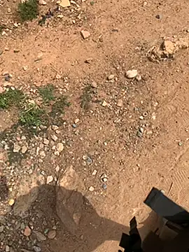 Snapshot of Black_mamba_madingo chatting on February 2025 09:54:01 AM Black mamba madingo online show from February 2025 09:54:01 AM