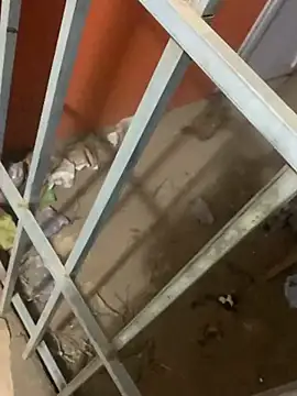 Snapshot of Black_mamba_madingo chatting on March 2025 04:08:02 AM Black mamba madingo online show from March 2025 04:08:02 AM