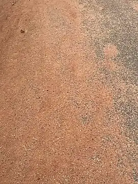 Snapshot of Black_mamba_madingo chatting on March 2025 07:47:02 AM Black mamba madingo online show from March 2025 07:47:02 AM