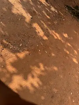 Snapshot of Black_mamba_madingo chatting on March 2026 08:41:02 AM Black mamba madingo online show from March 2026 08:41:02 AM