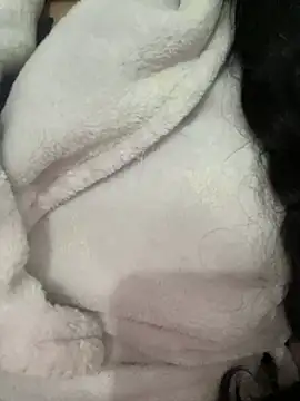 Lina-lolo online show from December 2024 06:30:02 PM