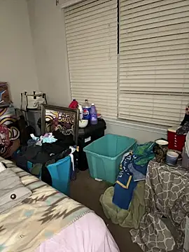 torilux online show from March 2025 03:11:01 AM