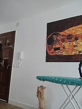 Satiro Sevilla online show from November 2025 09:32:01 AM