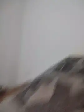 Satiro Sevilla online show from February 2026 12:19:02 AM