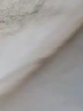 MrNick74 online show from December 2025 12:24:02 PM