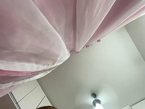 Snapshot of lariic chatting on March 2025 12:29:02 AM lariic online show from March 2025 12:29:02 AM